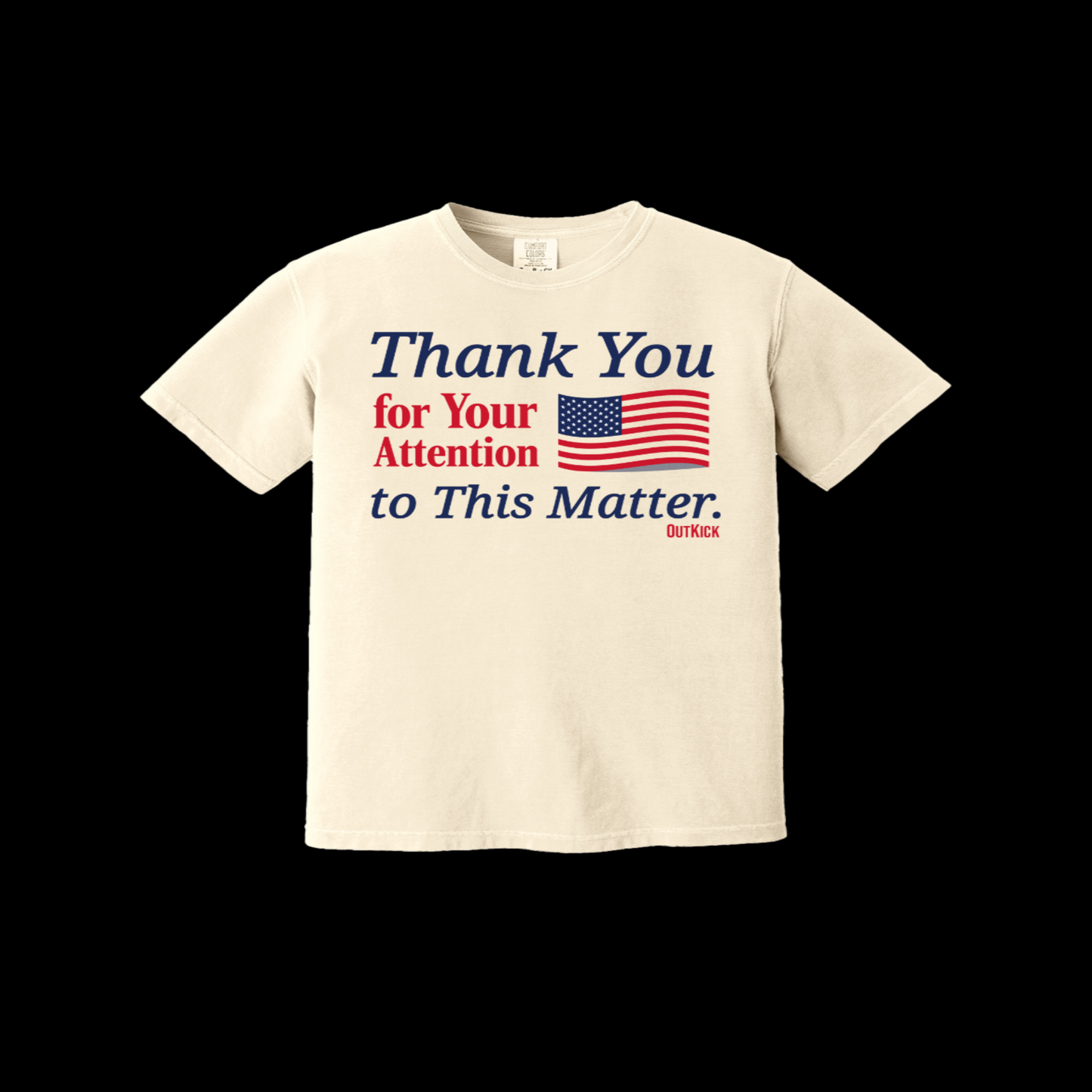 Thank You For Your Attention Heavyweight Cotton Tee